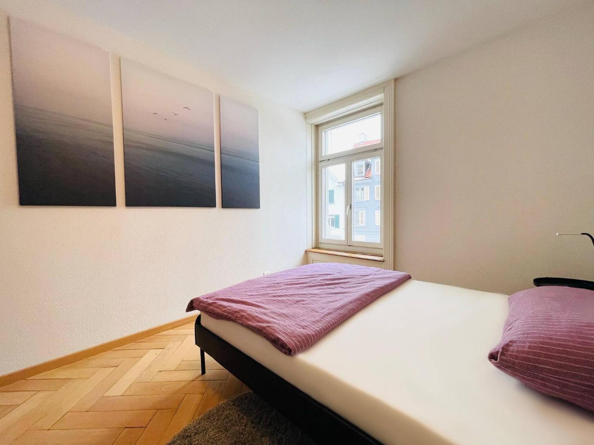 Beautiful, Bright, Large Apartment With Balcony Smarttv St. Gallen Exterior foto